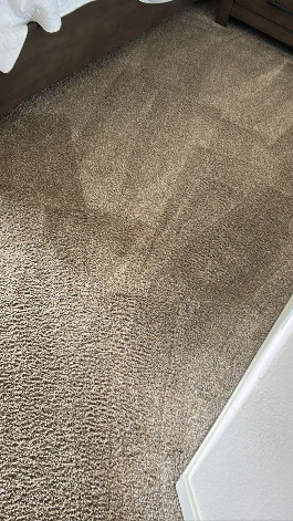 contact about carpet cleaning ca carpet cleaning in costa mesa area rug cleaning ca area rug cleaning in costa mesa contact about carpet cleaning ca carpet cleaning in costa mesa area rug cleaning ca area rug cleaning in costa mesa