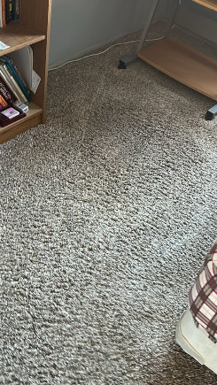 contact about carpet cleaning ca carpet cleaning in costa mesa area rug cleaning ca area rug cleaning in costa mesa