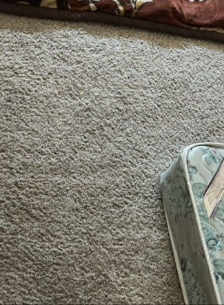 contact about carpet cleaning ca carpet cleaning in costa mesa area rug cleaning ca area rug cleaning in costa mesa